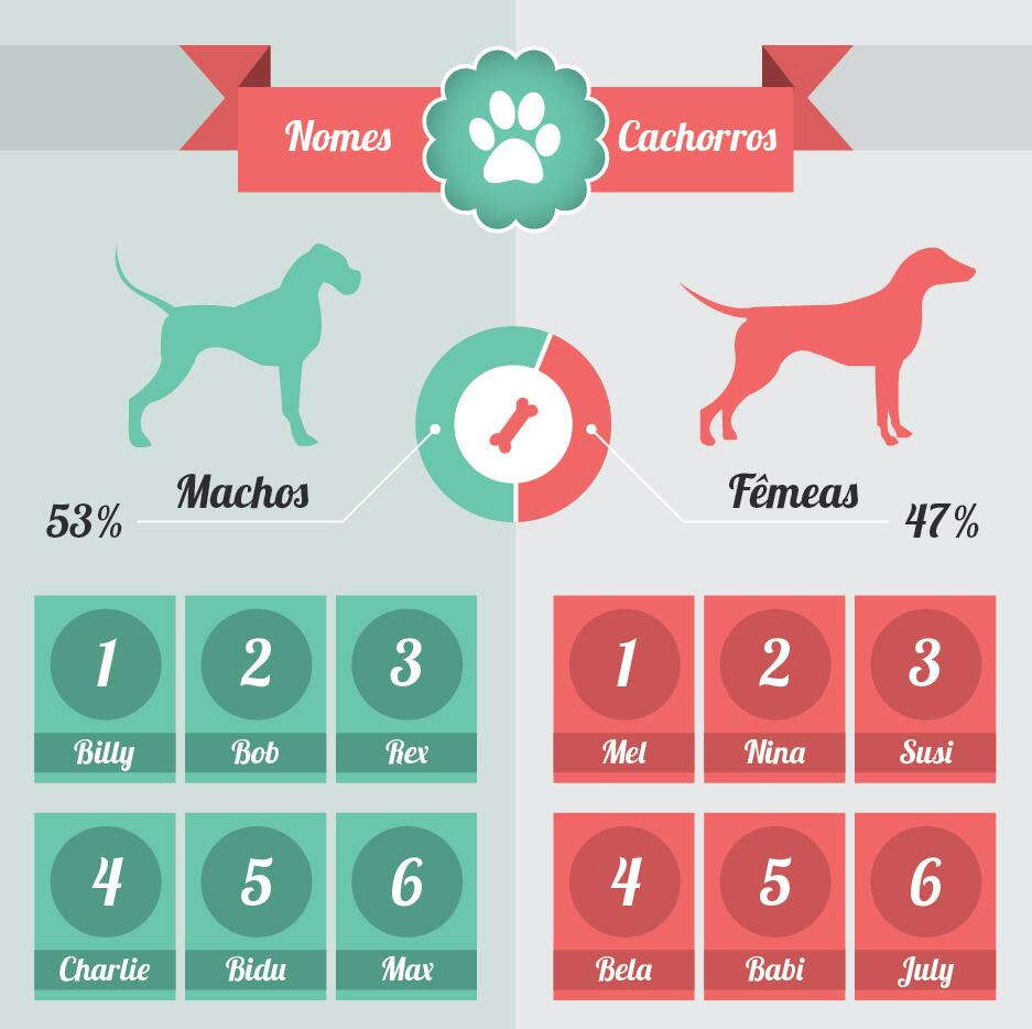 Nomes de cães